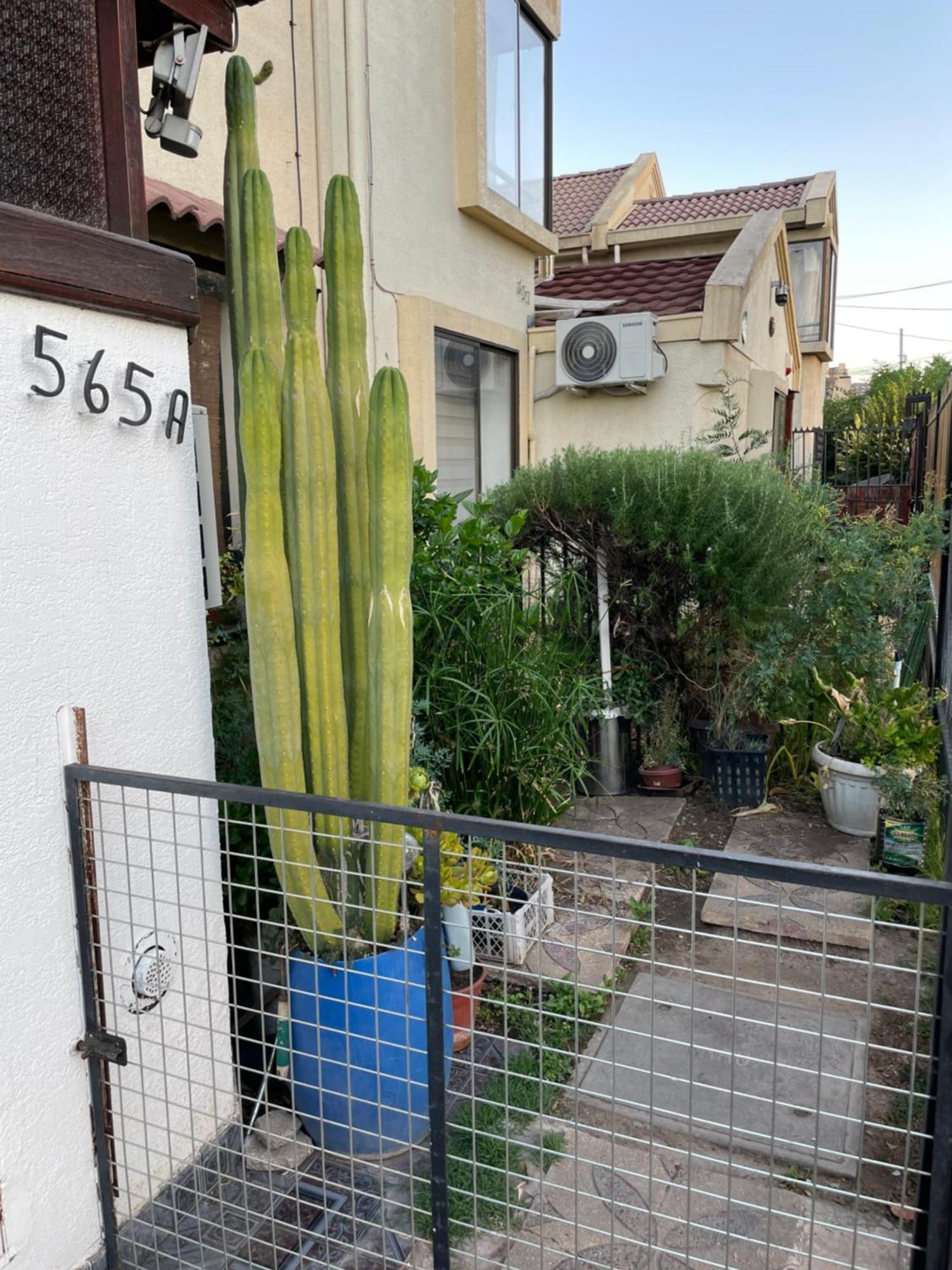 Hostal Brisa Serena Santiago Exterior photo